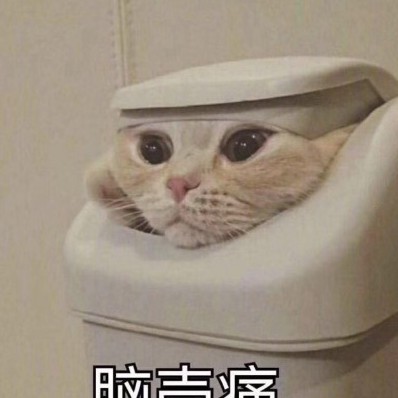 A849136282's avatar