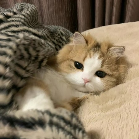 eryanga's avatar