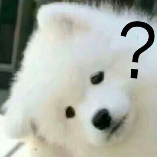 dr_daozi's avatar