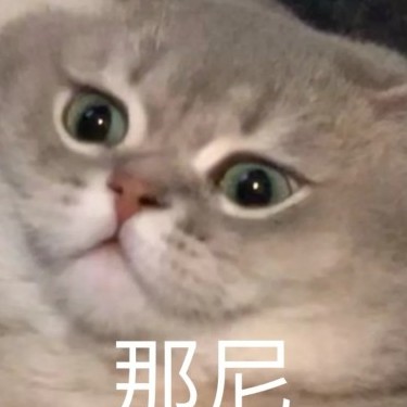 taitoua's avatar